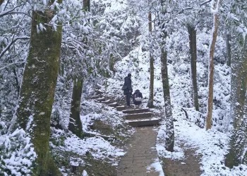 Tayvan’da soğuk hava dalgası