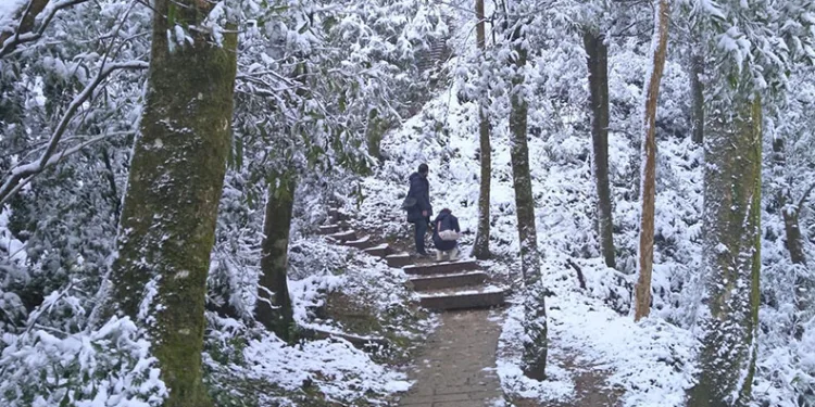 Tayvan’da soğuk hava dalgası