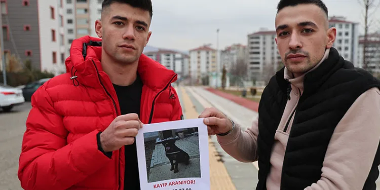 Sokak sokak gezerek köpeğini arıyor