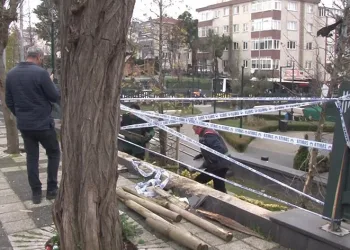 Kontrolden çıkan kamyonet parka uçtu