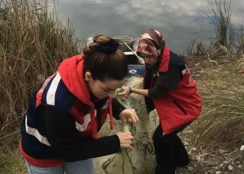 Osmaniye’de balık denetimi yapıldı