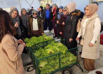 Topraksız tarım projesine kadın çiftçilerden yoğun ilgi