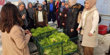 Topraksız tarım projesine kadın çiftçilerden yoğun ilgi