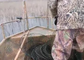 Karamık Gölüne bırakılan pinterler toplandı