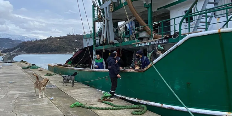 Hamsi balıkçıların yüzünü güldürdü
