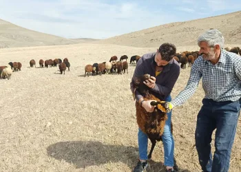 “Köyümde Yaşamak İçin Bir Sürü Nedenim Var”