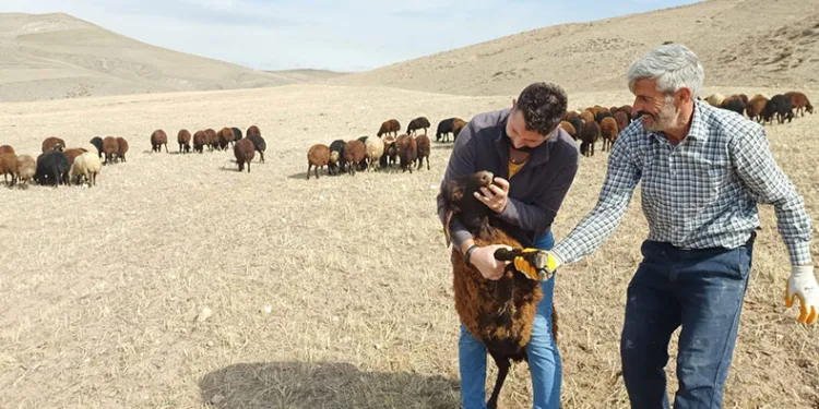 “Köyümde Yaşamak İçin Bir Sürü Nedenim Var”