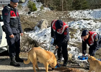 Jandarma, zorlu kış şartlarında sokak hayvanlarını unutmadı