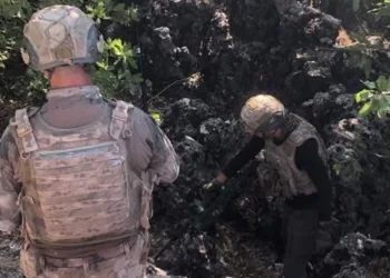 Jandarma ekipleri, bir haftada 169 şahsa işlem yaptı