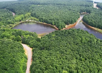 Yalova’nın yeni rotası: Doğa turizmi