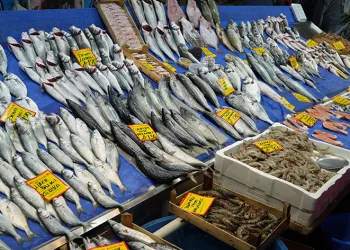 Kar yağışı balık fiyatlarını artırdı