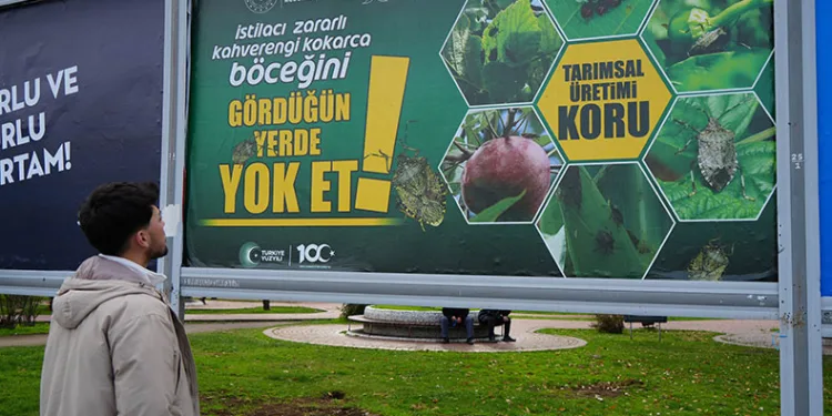 Kahverengi kokarcayla mücadele billboardlarda