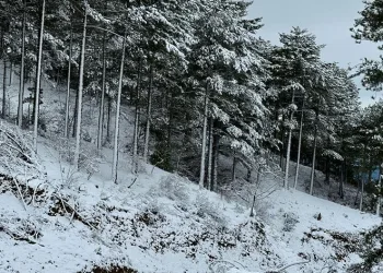 Gazipaşa kırsalı beyaza büründü