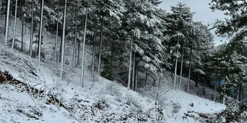 Gazipaşa kırsalı beyaza büründü