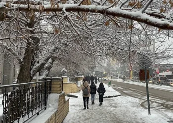 Ağrı’da kar yeniden etkili oldu