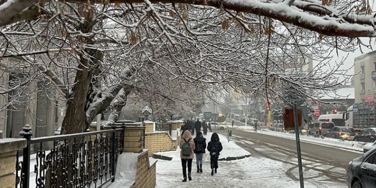 Ağrı’da kar yeniden etkili oldu
