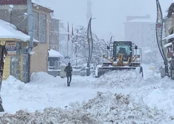 Kar nedeniyle 173 köy yolu ulaşıma kapandı