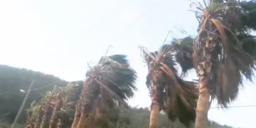 Aydın’da fırtına bekleniyor