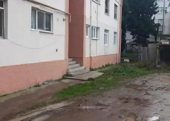 Kardeşini bıçakladı