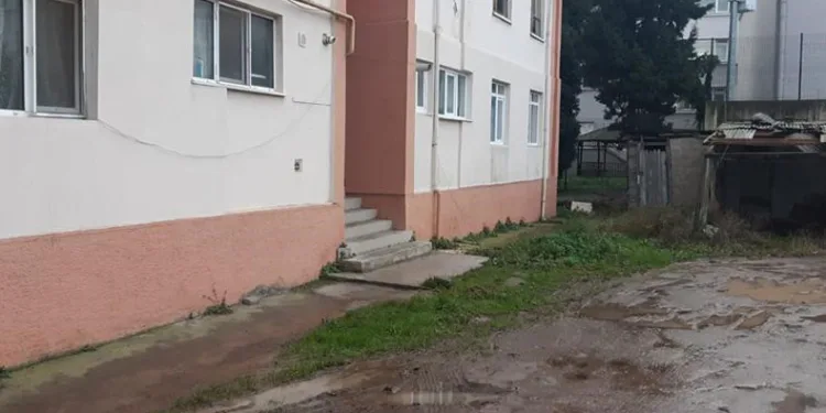Kardeşini bıçakladı