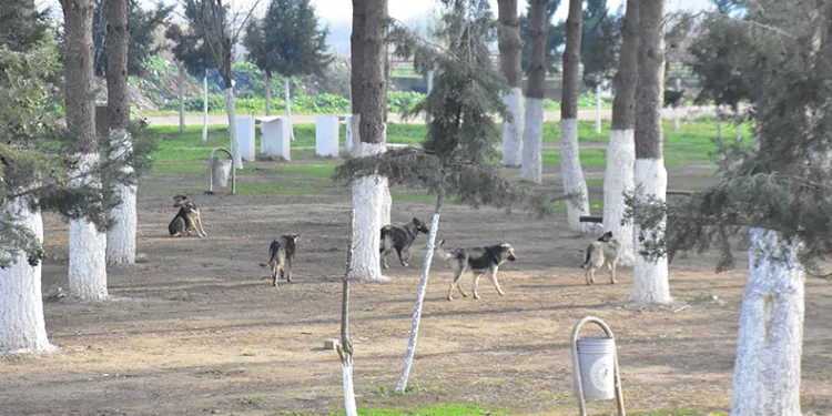 “İncirliova kimsenin köpek bırakma alanı değil”