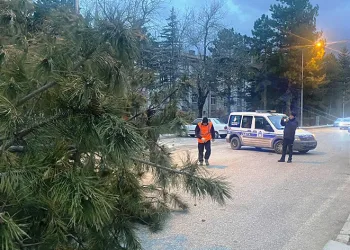 Konya’da şiddetli fırtınada 1 kişi yaralandı