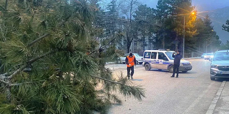 Konya’da şiddetli fırtınada 1 kişi yaralandı
