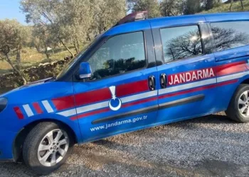 Gürültü yapınca cezayı yediler