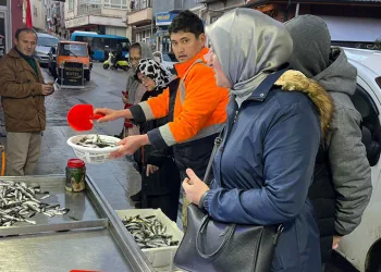 Fırtına sonrası balık bolluğu