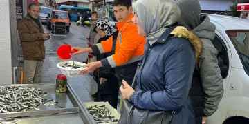 Fırtına sonrası balık bolluğu