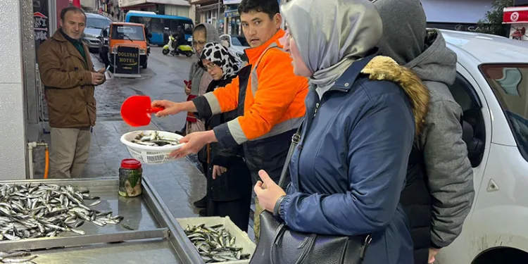 Fırtına sonrası balık bolluğu