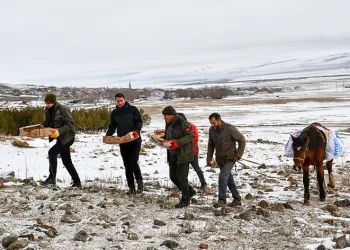At sırtında yaban hayvanları için doğaya yem bırakıldı