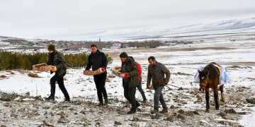 At sırtında yaban hayvanları için doğaya yem bırakıldı