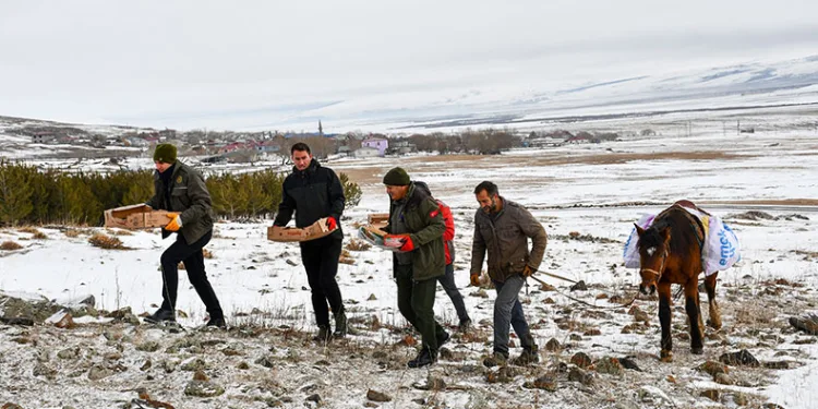 At sırtında yaban hayvanları için doğaya yem bırakıldı