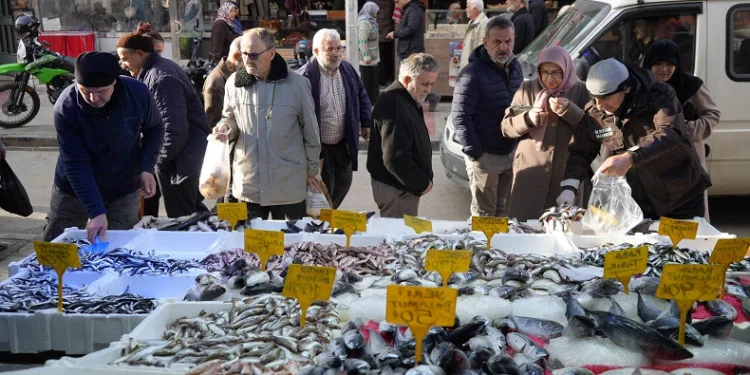 Vatandaşlar hamsiyi alırken boyuna bakıyor