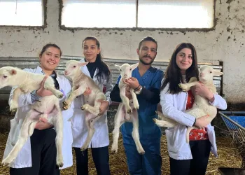 Öğrenciler “Yetiştirme Çiftliğinde” pratik kazanıyor