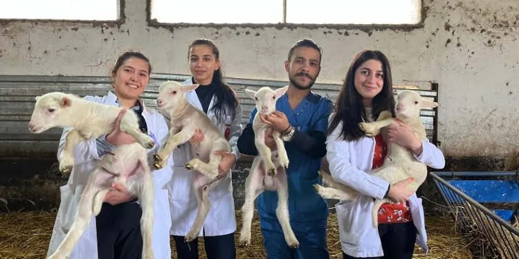 Öğrenciler “Yetiştirme Çiftliğinde” pratik kazanıyor