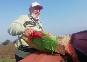 Manyaslı çiftçiler tohumları toprakla buluşturdu
