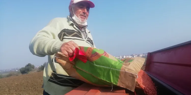 Manyaslı çiftçiler tohumları toprakla buluşturdu