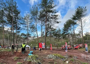 Marmaris’in ilk tescilli bal ormanında 5 bin fidan dikildi