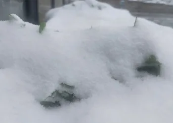 Tekirdağ’ın bazı ilçelerinde eğitime kar engeli