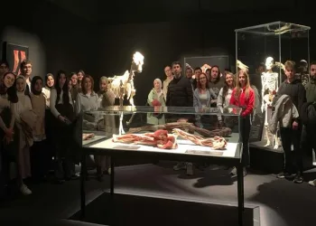 Üniversiteli gençler hayvanların anatomi sergisini gezdi