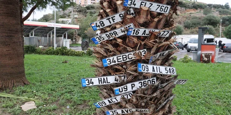 Dilek ağacı değil plaka ağacı