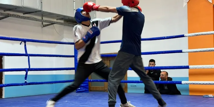 Gençler ferdi boks il seçmeleri tamamlandı
