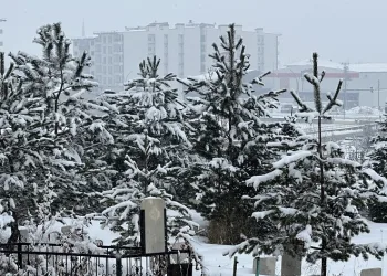 Yüksekova’da kar yağışı