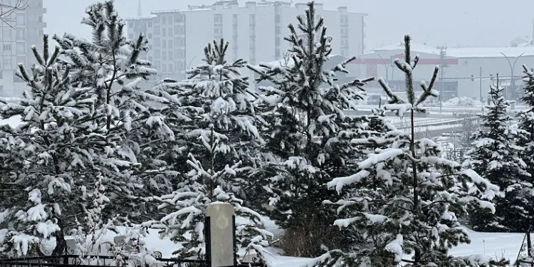 Yüksekova’da kar yağışı