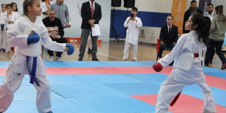 Diyarbakır’da 311 çocuk karate turnuvasında mücadele etti