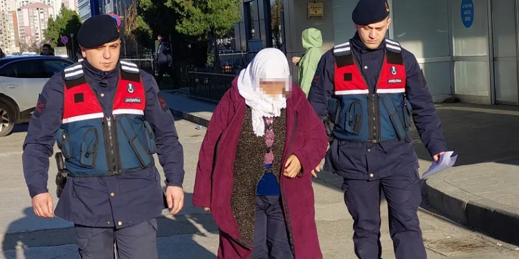 Hindi hırsızlığına gözaltı