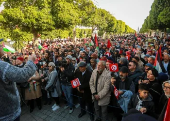 Tunus’ta Yasemin Devrimi’nin 13. Yıldönümü