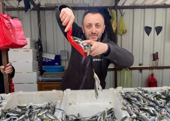 Fiyatların artışı balık satışlarını azalttı